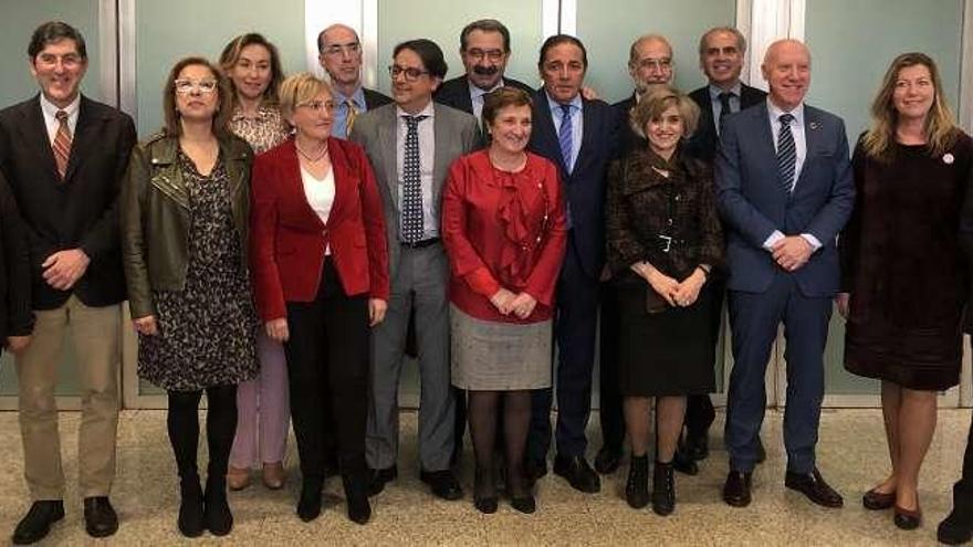La ministra de Sanidad, Luisa Carcedo, séptima por la izquierda, con los representantes autonómicos, ayer en Madrid. // Faro