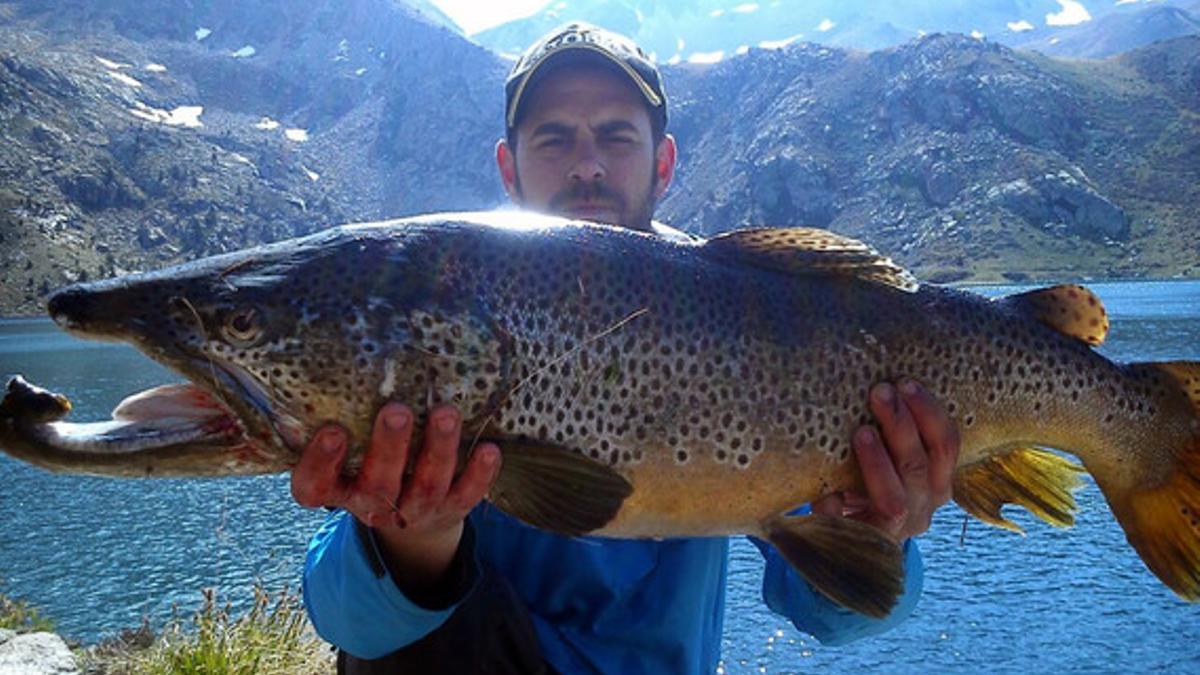 Pescada una trucha de grandes dimensiones en el Pallars Jussà