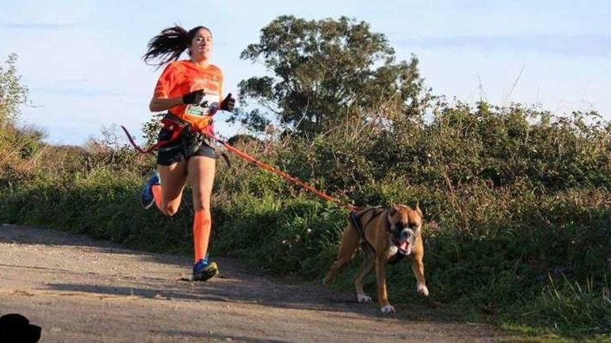 El Astur Torrecerredo se apunta al mushing