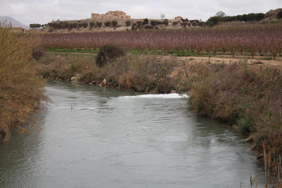 Entrada de agua al río Segura procedente de un pozo de sequía en Calasparra