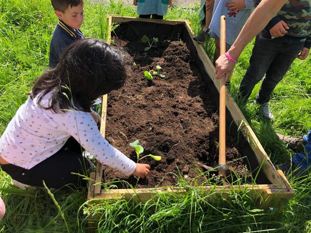 El Cotayo se vuelca con su cultivo ecológico: así trabajan los huertos en el colegio de Siero