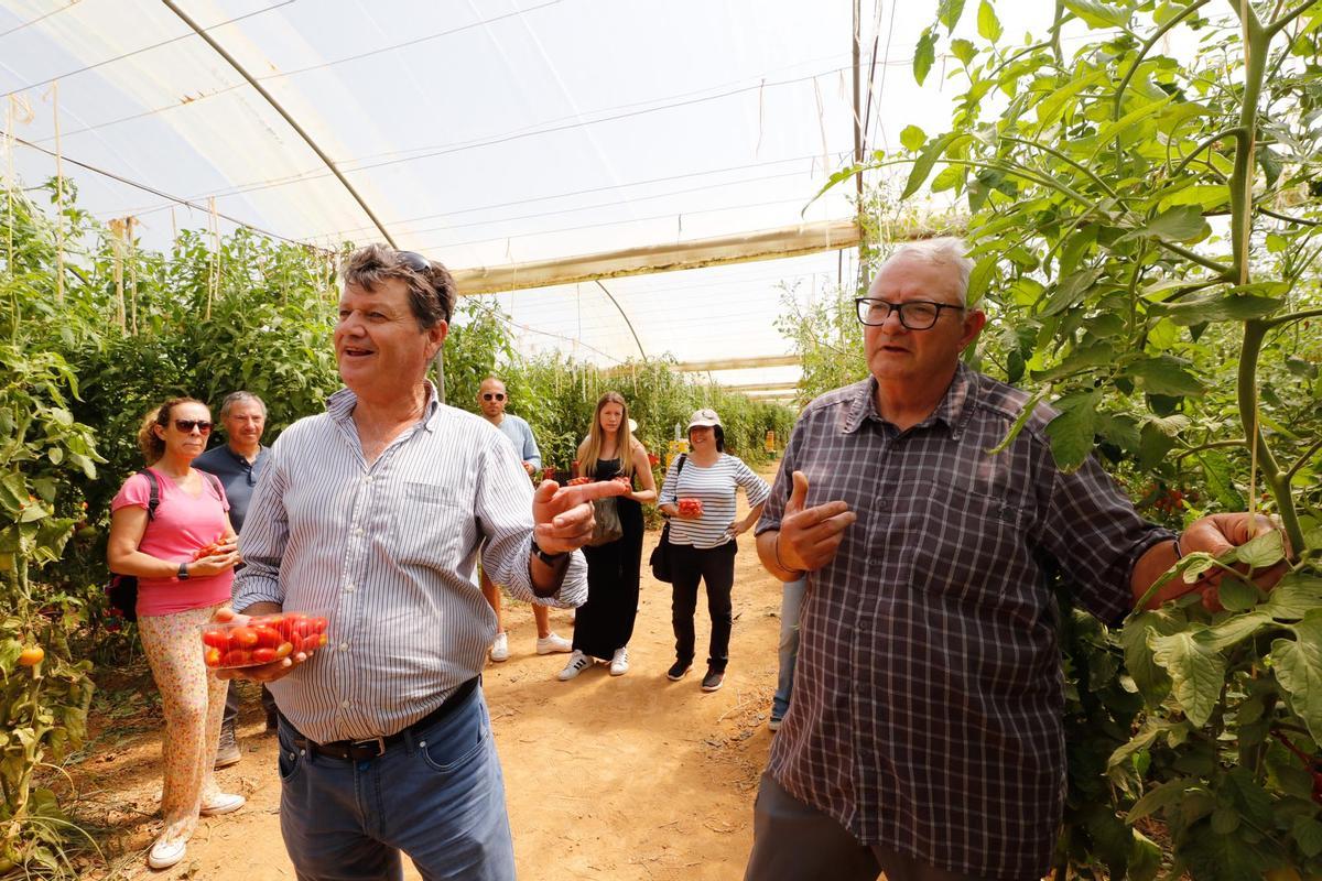 Visita guiada a la finca hortícola de Can Pol en Ibiza
