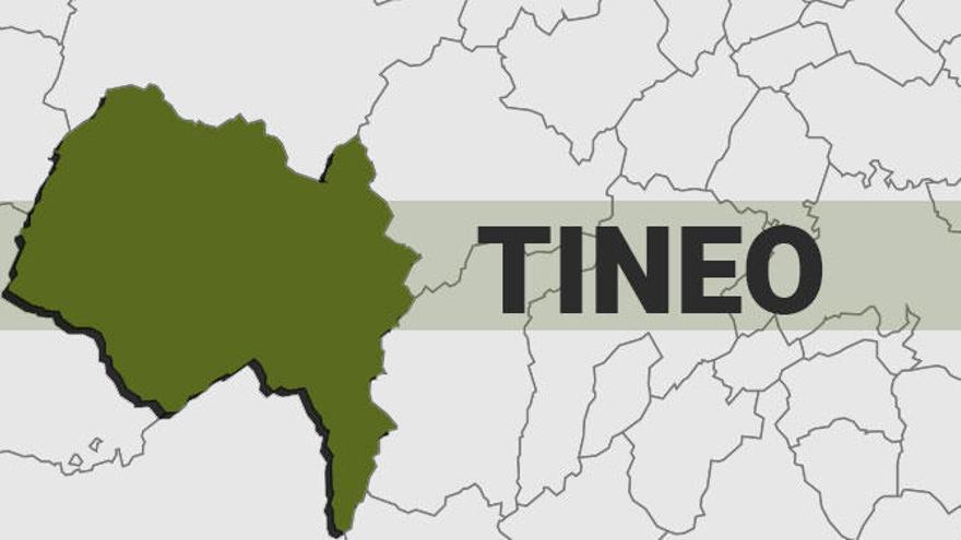 Resultados de las elecciones generales en Tineo