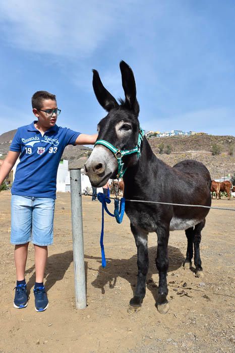 Fiestas del Pilar en Valle de los Nueve Alto