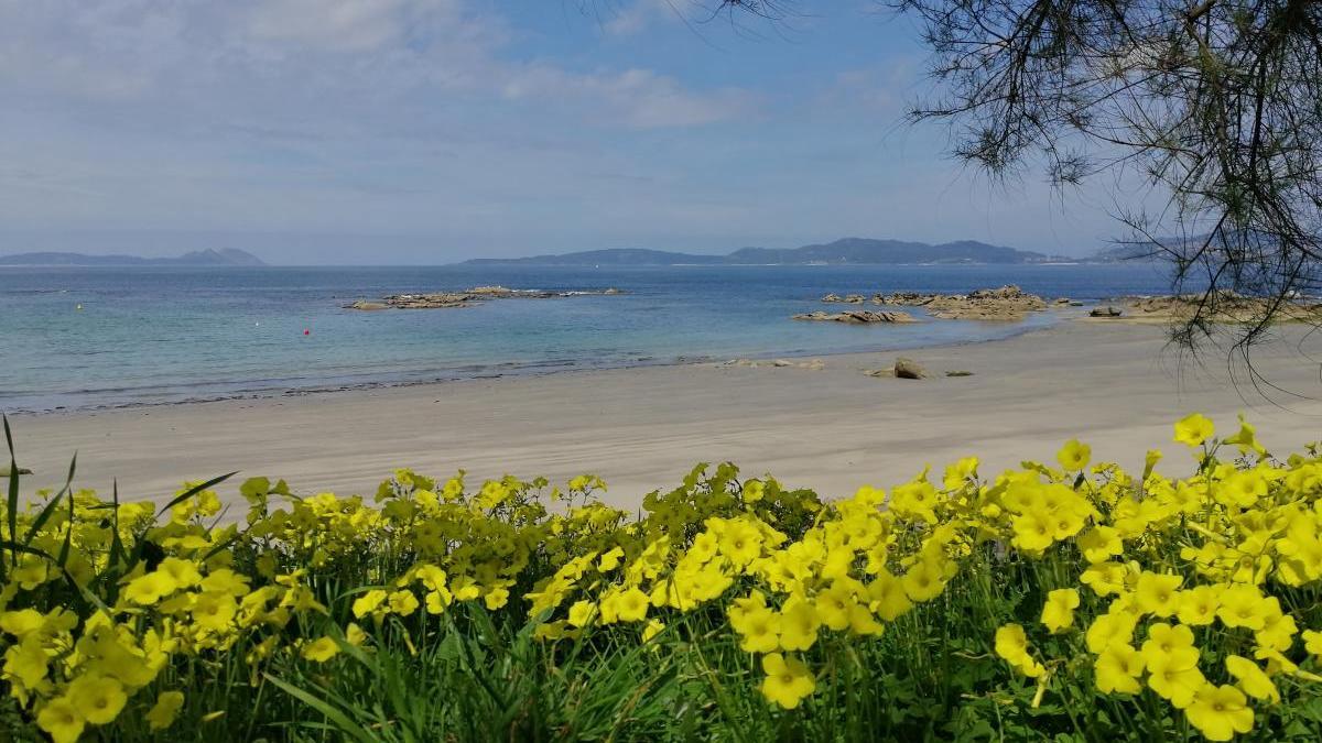 Playa de A Calzoa. // Marta G. Brea