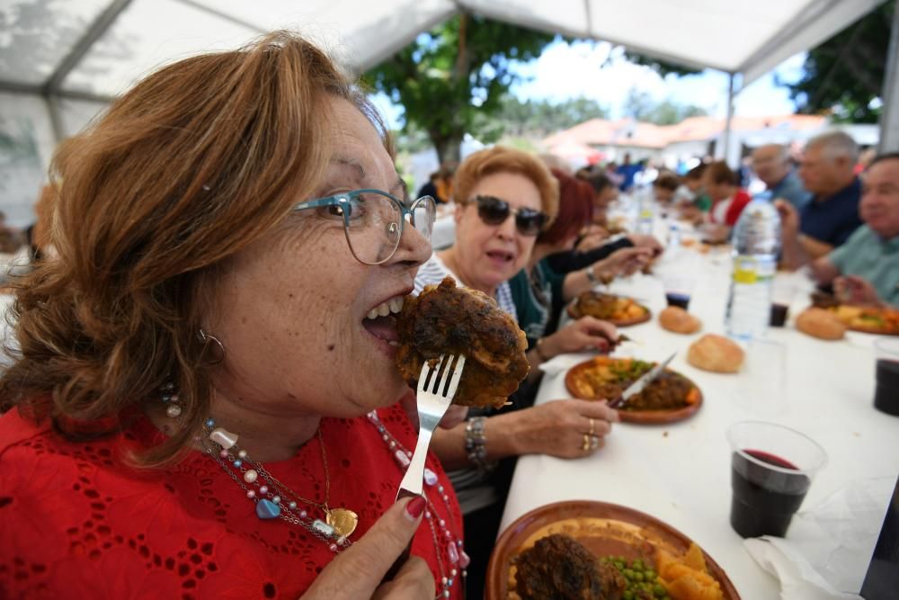 Fiestas gastronómicas en Galicia | A Lama hinca el diente a su famoso codillo