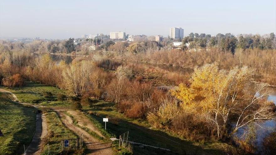 La alcaldesa asegura que el proyecto del Cordel de Écija es &quot;interesante para la ciudad&quot;