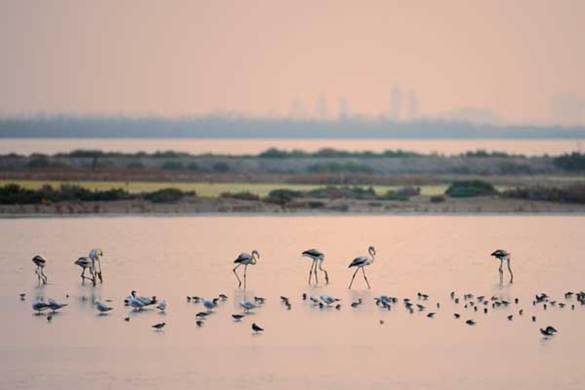 Delta del Ebro