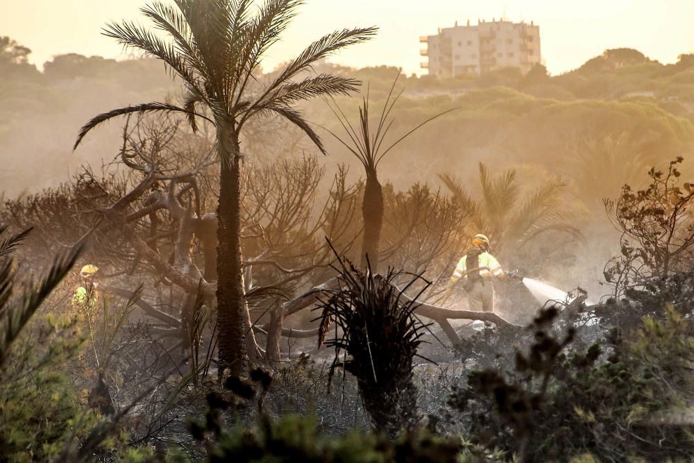 Tareas de extinción del incendio en Guardamar