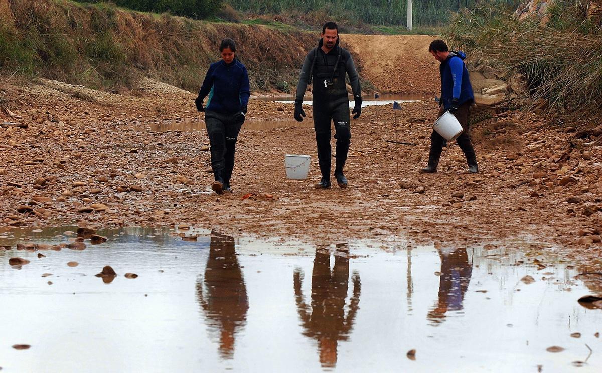 Agentes de la Naturaleza de Aragón realizan labores de control de especies invasoras.