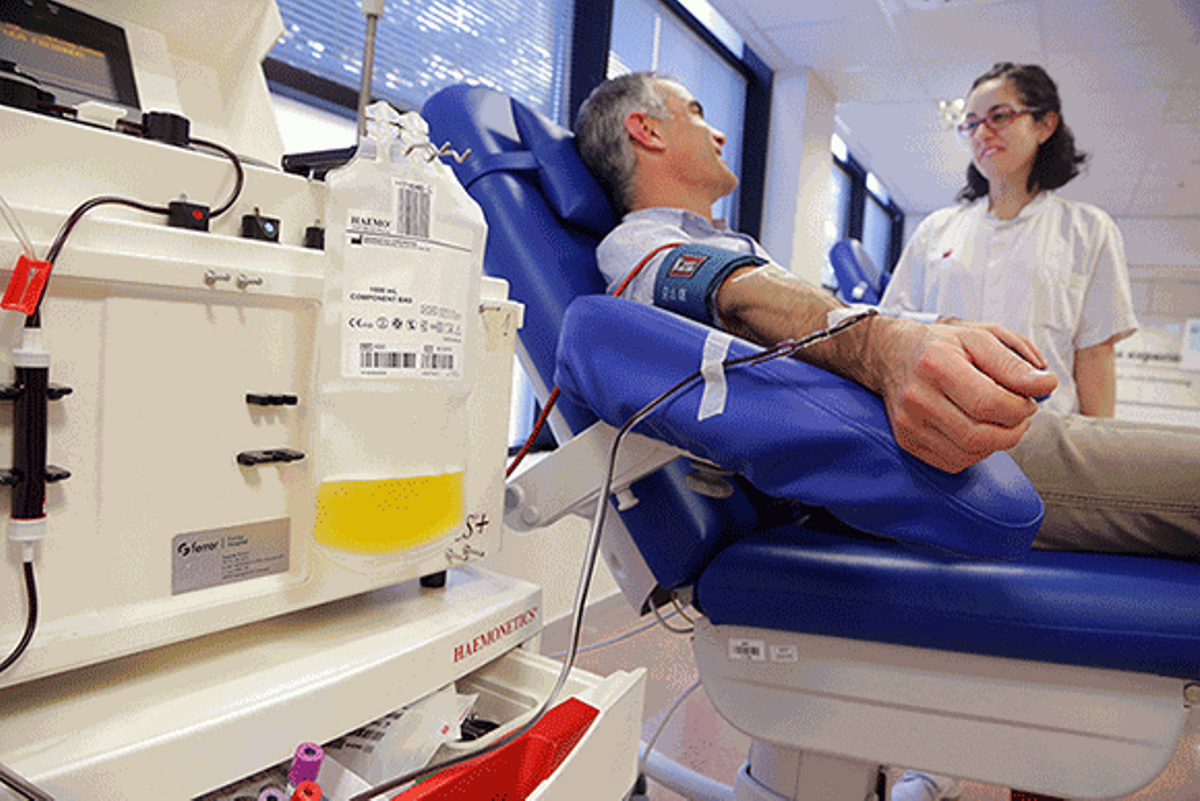 Mataró cedeix els seus centres cívics per a una campanya de donació de plasma Mataró cedeix els seus centres cívics per a una campanya de donació de plasma