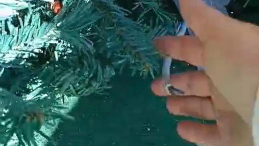 ¿Quién ha vandalizado la Navidad en Lomo Blanco?