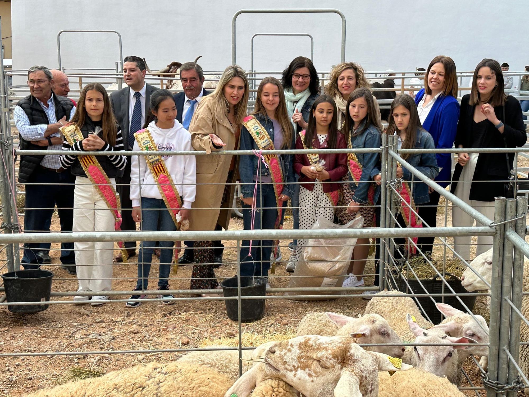 Visita la XXIV Fira de Vall d'Alba