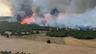 Estabilizado el incendio forestal del Cerro Maestre en Jumilla