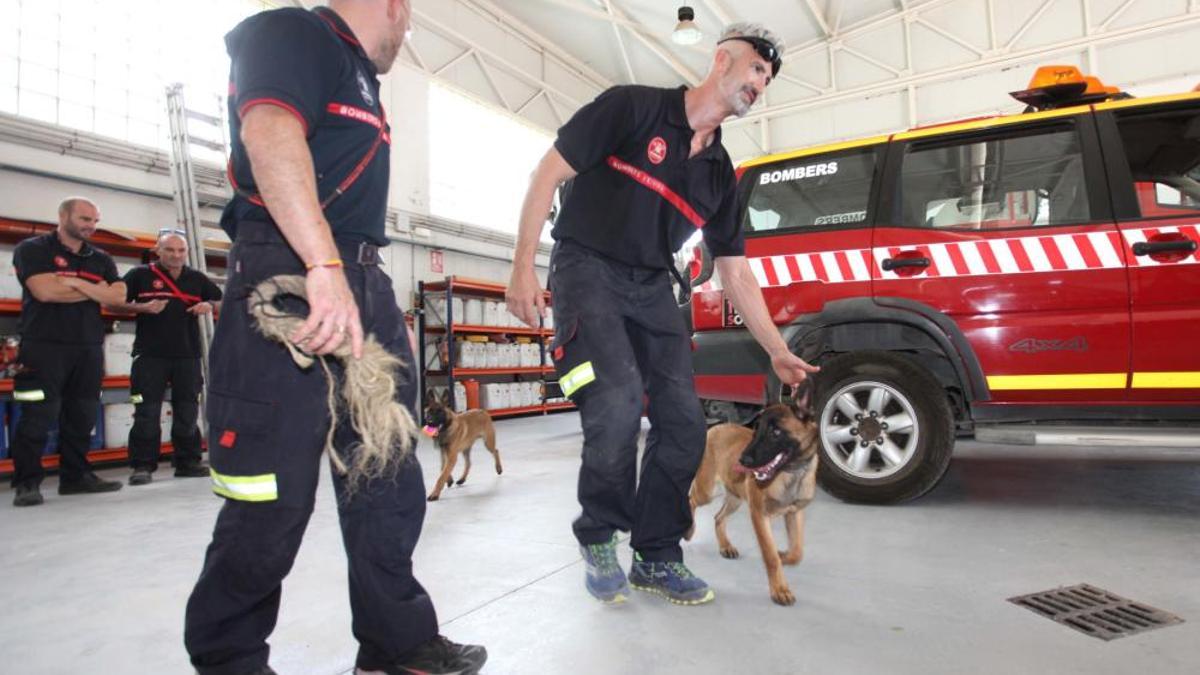 Unidad Canina de Rescate del cuerpo de Bomberos de Ibiza.