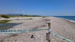 La desembocadura del riu Millars cerrada al paso: Las razones y por cuánto tiempo