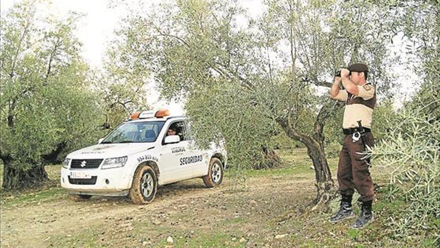 Sorprenden a los ladrones robando pero logran huir