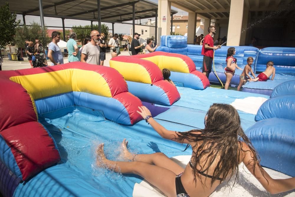 Festa Major de Navarcles: Diada de la Quitxalla