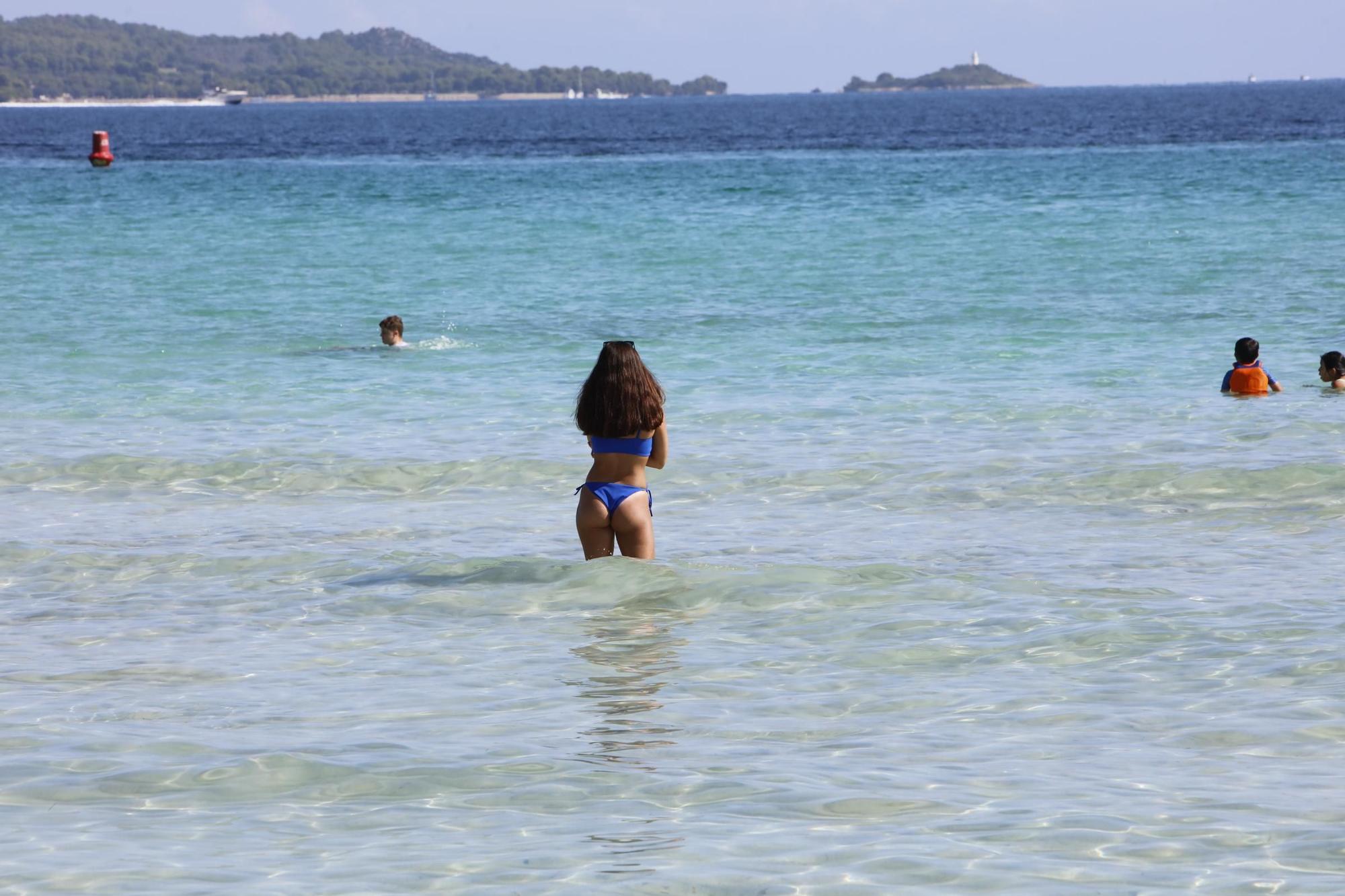 Sommer-Urlaub im Oktober: So sieht es derzeit am Strand von Alcúdia auf Mallorca aus