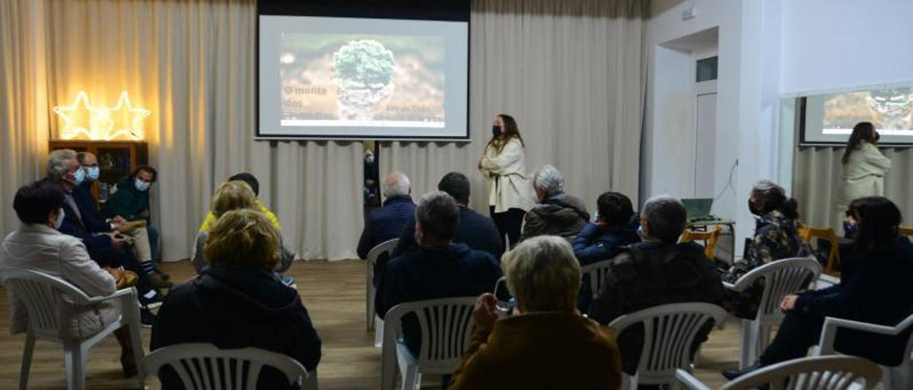 La proyección sobre el parque forestal de Os Remedios.   | G.N.