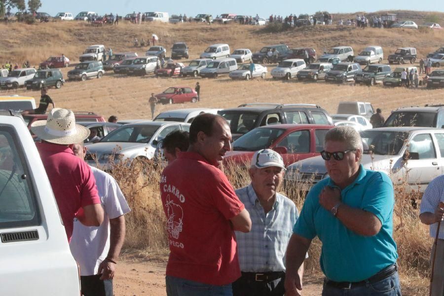 Fiestas en Zamora: Encierro en El Pego