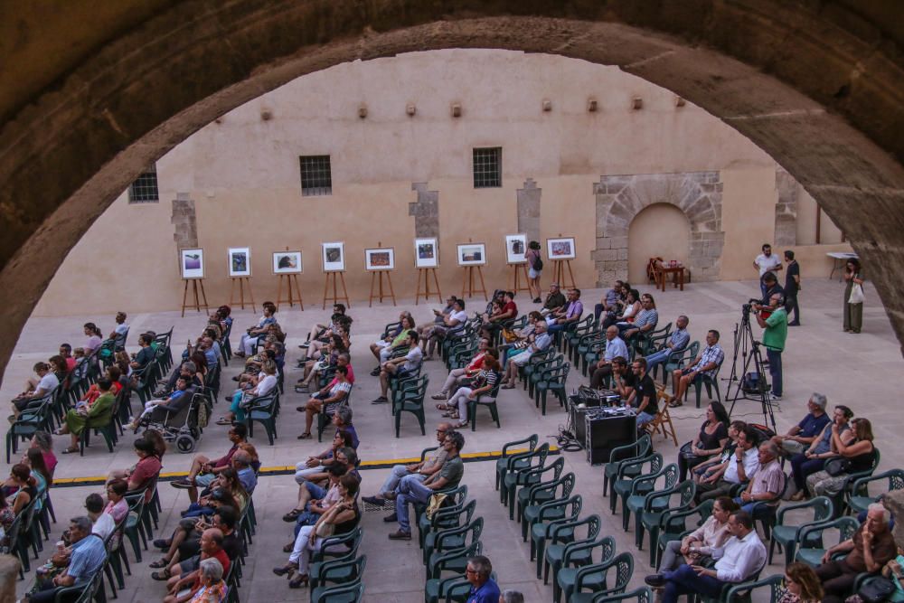 Cursos de verano de la UA en Cocentaina