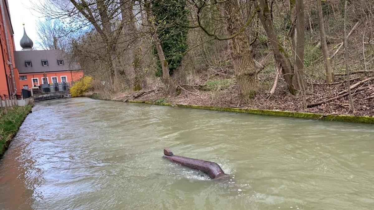 Grupo De Personas En Aguas Tranquilas | Foto Premium