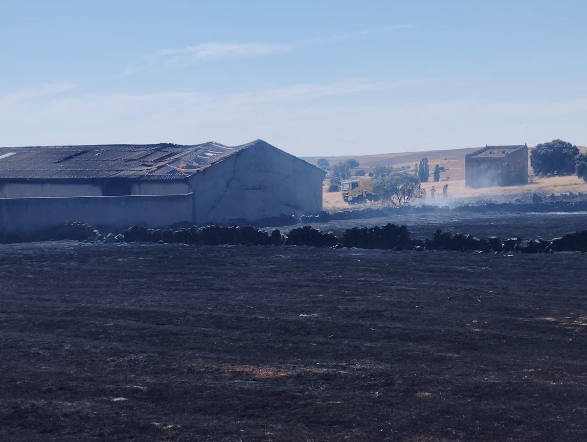 GALERÍA | Importantes daños en el incendio de una nave en Pereruela de Sayago GALERÍA | Importantes daños en el incendio de una nave en Pereruela de Sayago