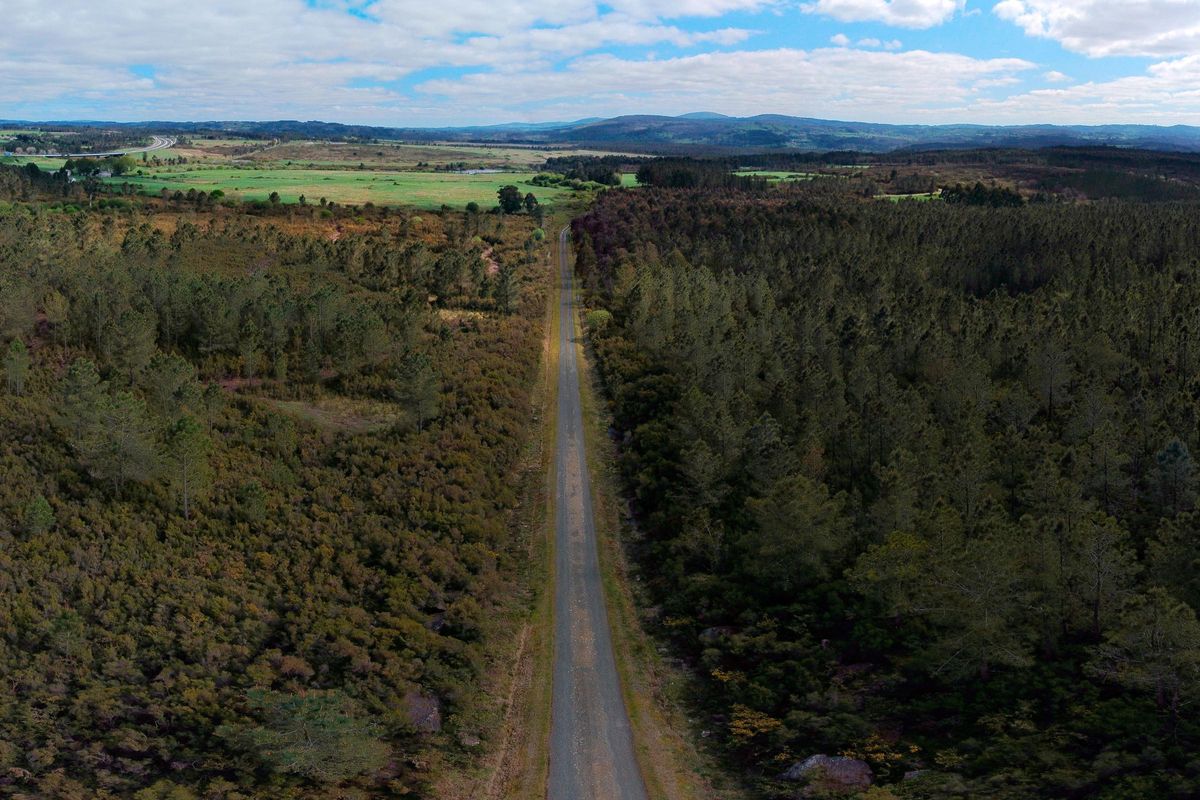Vista aérea de los terrenos en los que se prevé la instalación de la planta de Altri