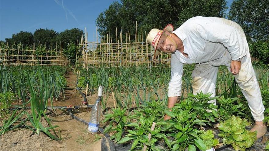 La firma de un convenio retrasa el proyecto de huertos tradicionales