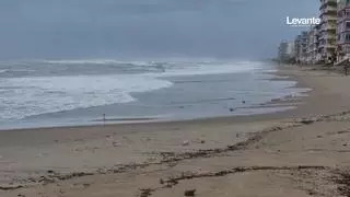 Un pequeño temporal reaviva la necesidad de regenerar la playa de Tavernes de la Valldigna