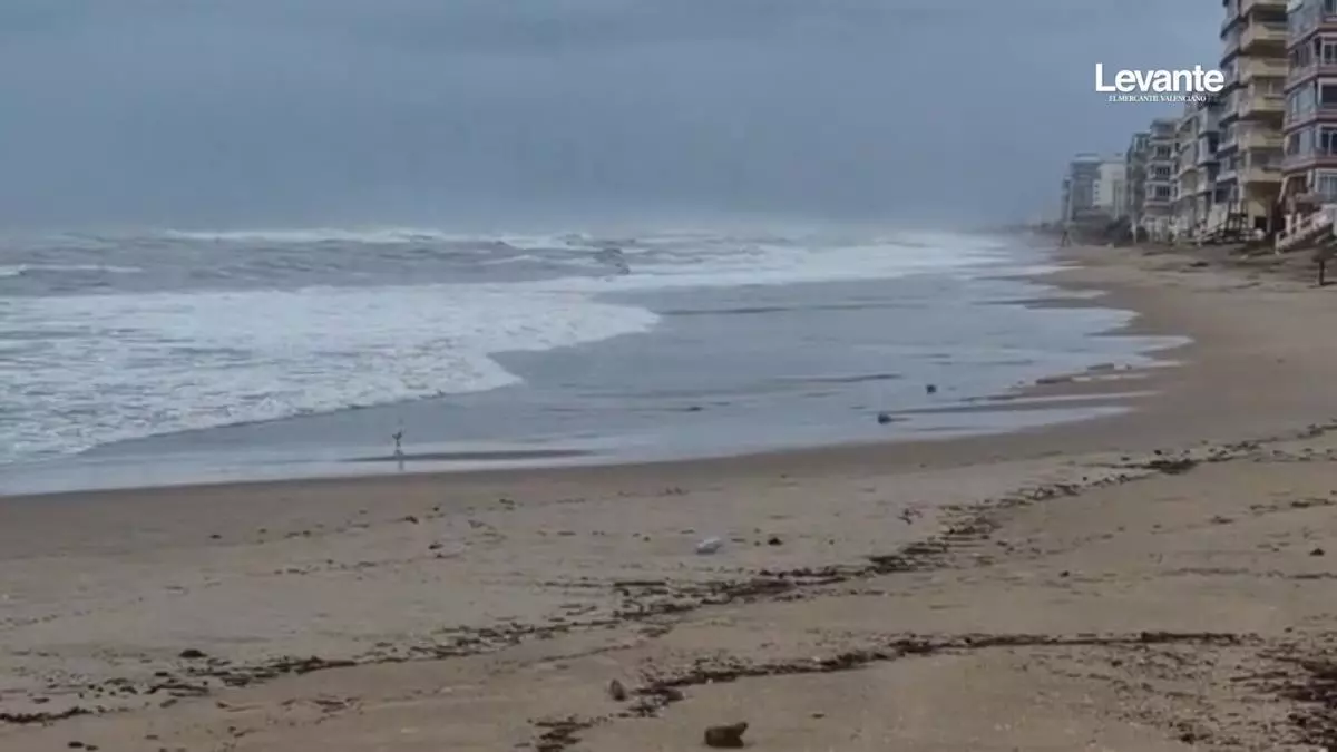 Un pequeño temporal reaviva la necesidad de regenerar la playa de Tavernes de la Valldigna