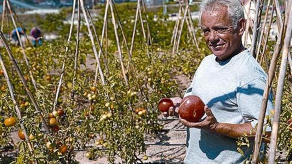 Un trabajador muestra productos del huerto ecológico.