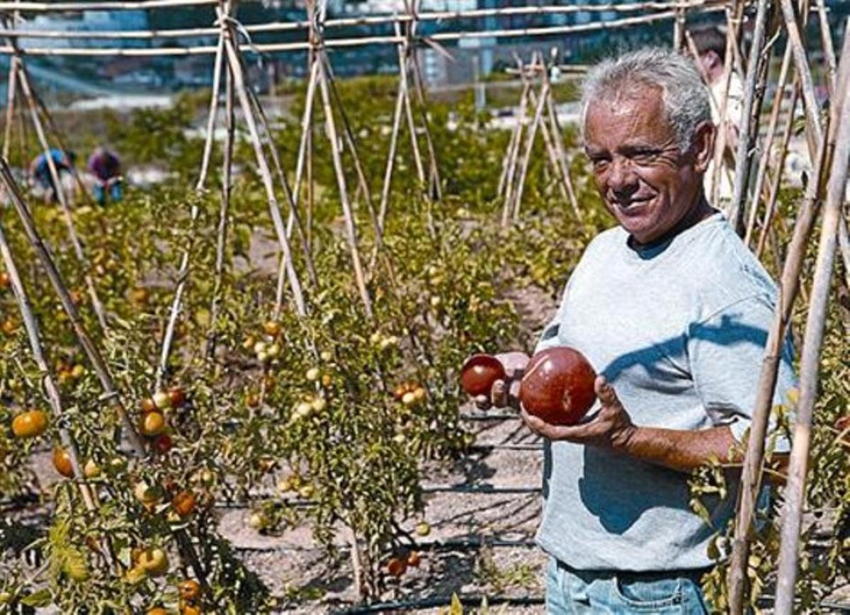 Un trabajador muestra productos del huerto ecológico.