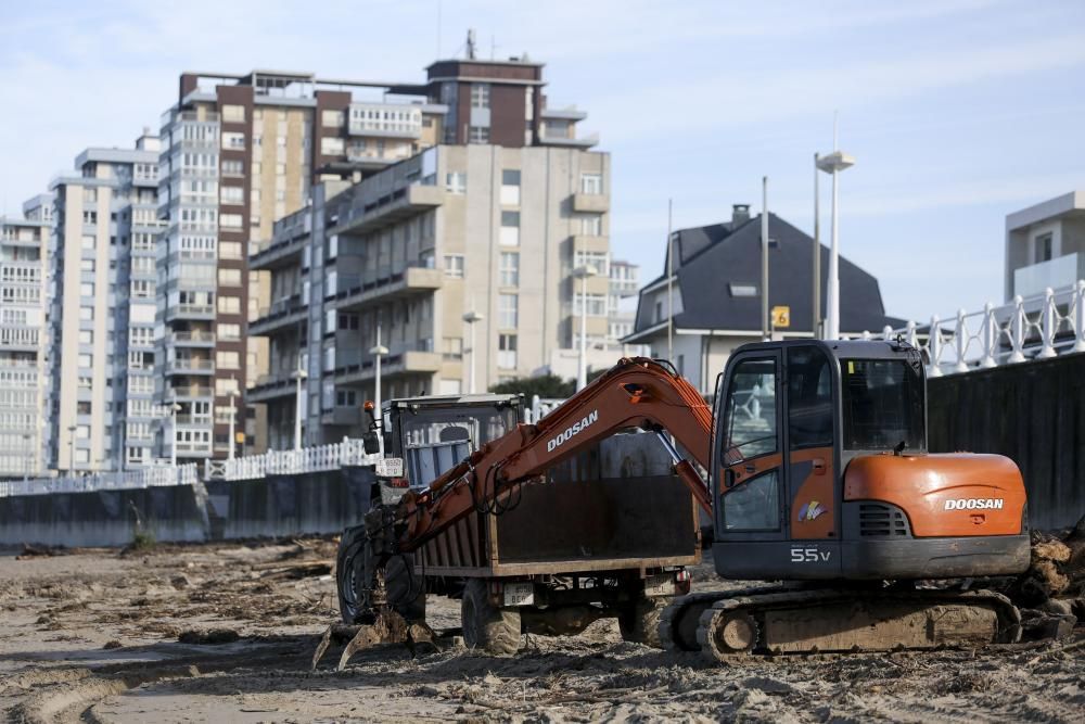 Una máquina recoge troncos en Salinas