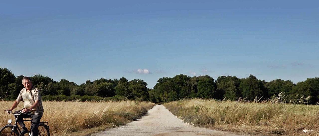 Un fotograma do docomunetal “Negro púrpura”