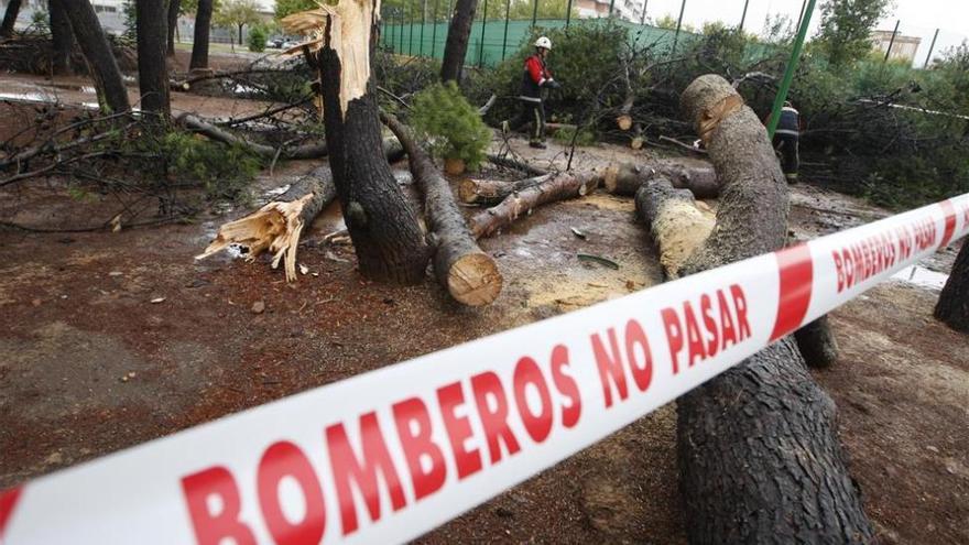 Casi 14 litros de agua recogidos desde la medianoche