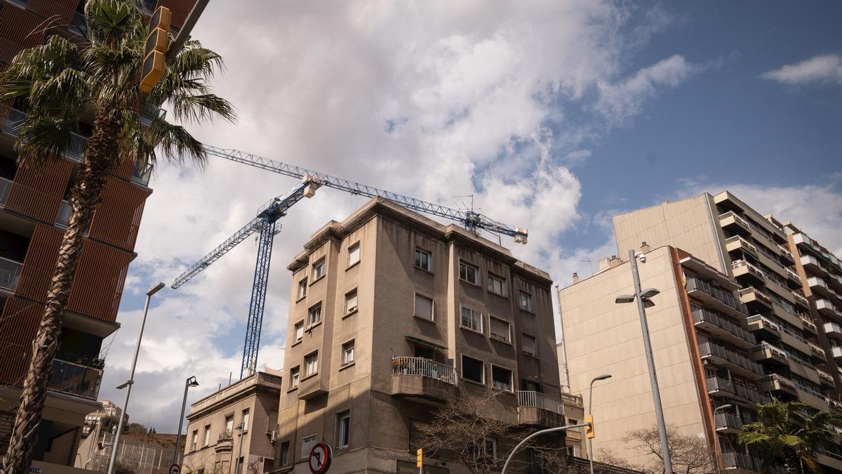 Grúas preparadas para la construcción de un edificio.