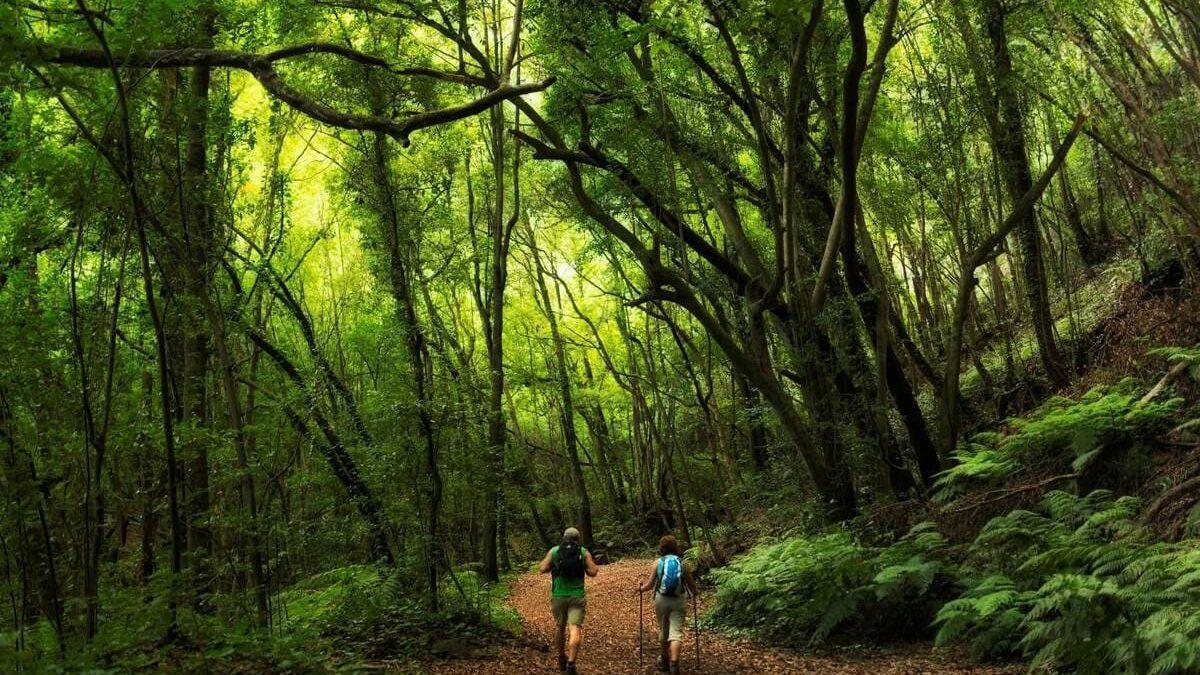 Sendero de Marcos y Cordero, en La Palma, uno de los más espectaculares de Canarias.
