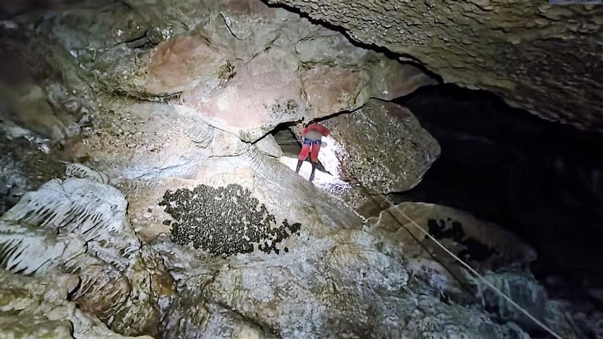 Ratpenats i canvi climàtic obliguen a restringir l’espeleologia a Montserrat