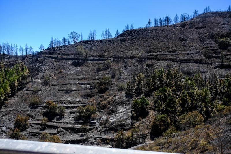 Consecuencias del incendio: De Valleseco a Artenar