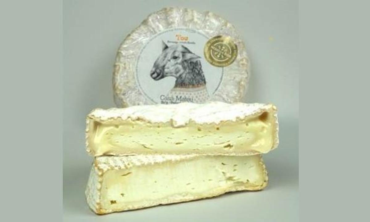 Lote de queso de Casa Mateu