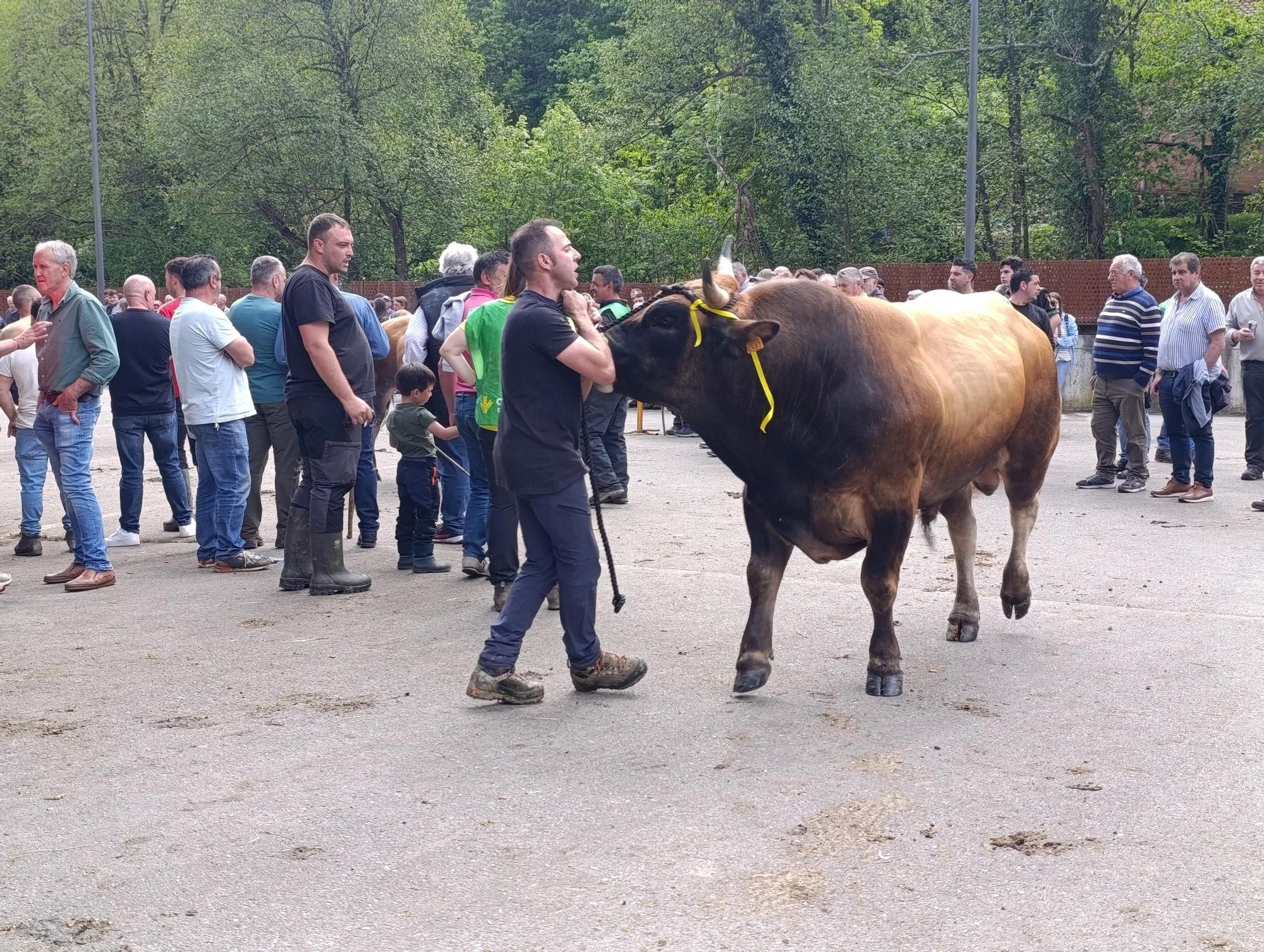 El XXXI Certamen-Exposición de Asturiana de los Valles de Teverga, en imágenes