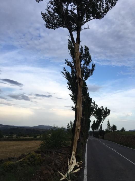 Temporal en Vilafranca