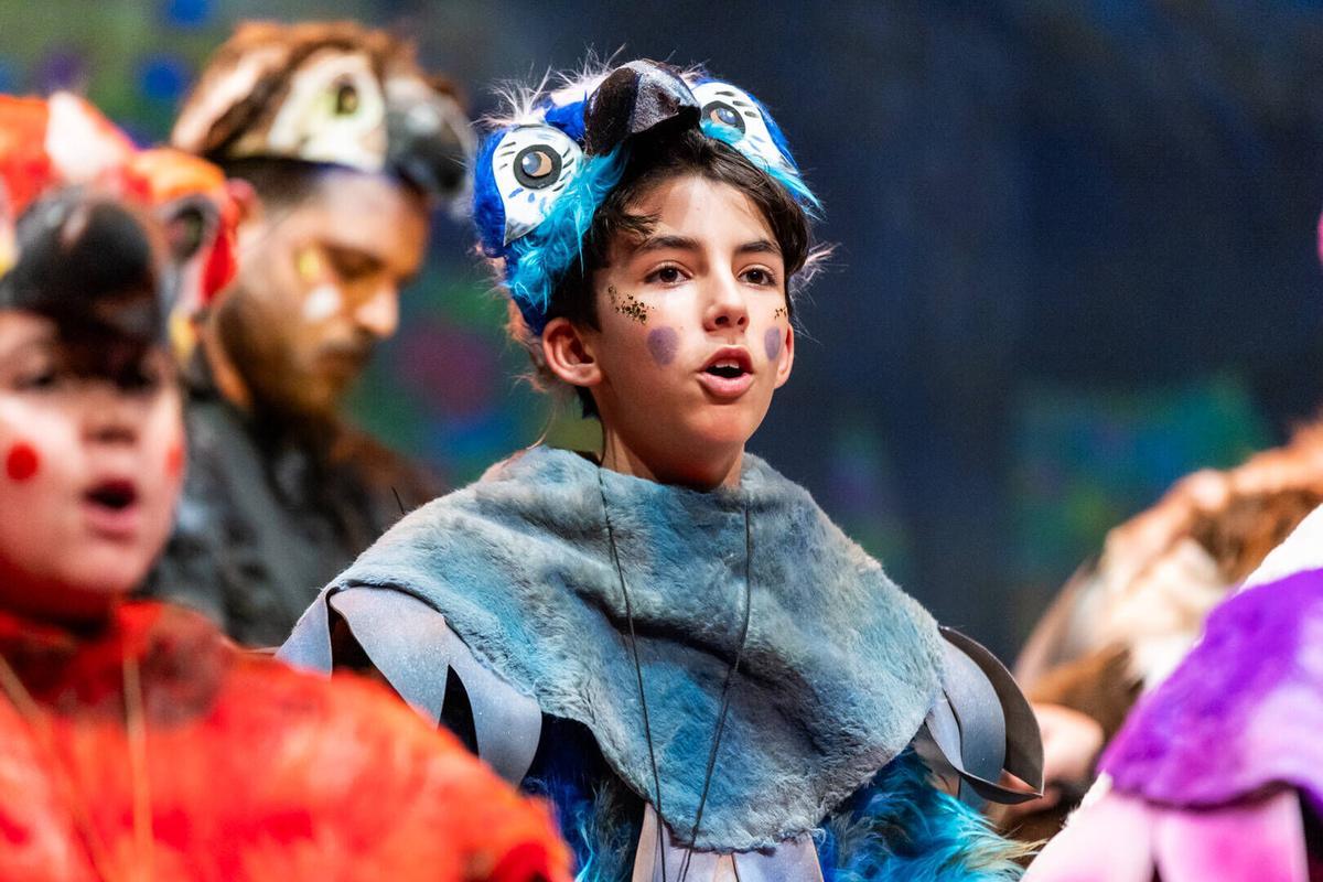 Una murga y pico. Infantil, séptima preliminar del COAC Málaga 2026