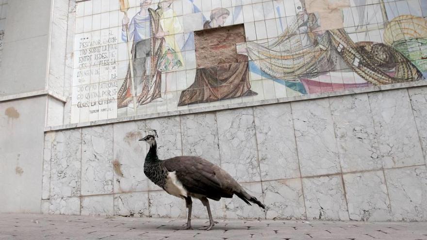 Los murales del Parque Torres se caen a pedazos