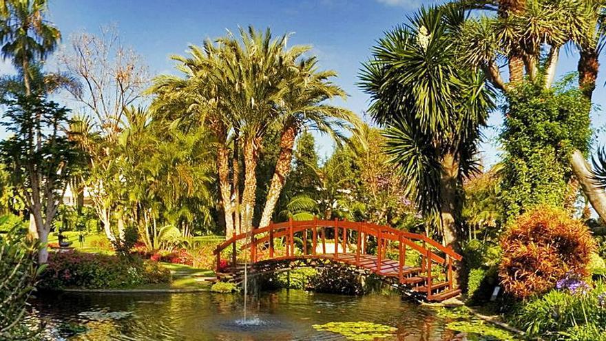 Vista del Jardín Botánico del Puerto de la Cruz, en Tenerife. ED