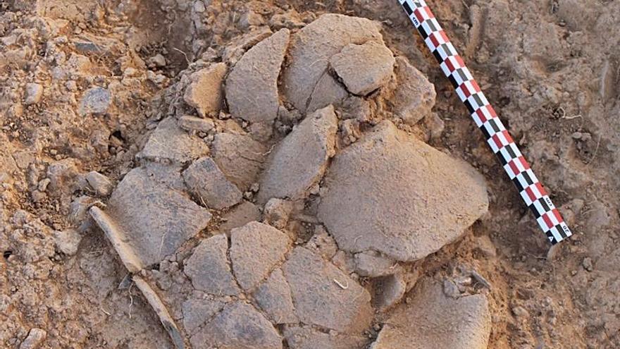 La excavaciones avalan que “El Castrico” de Rabanales surgió hace dos mil años