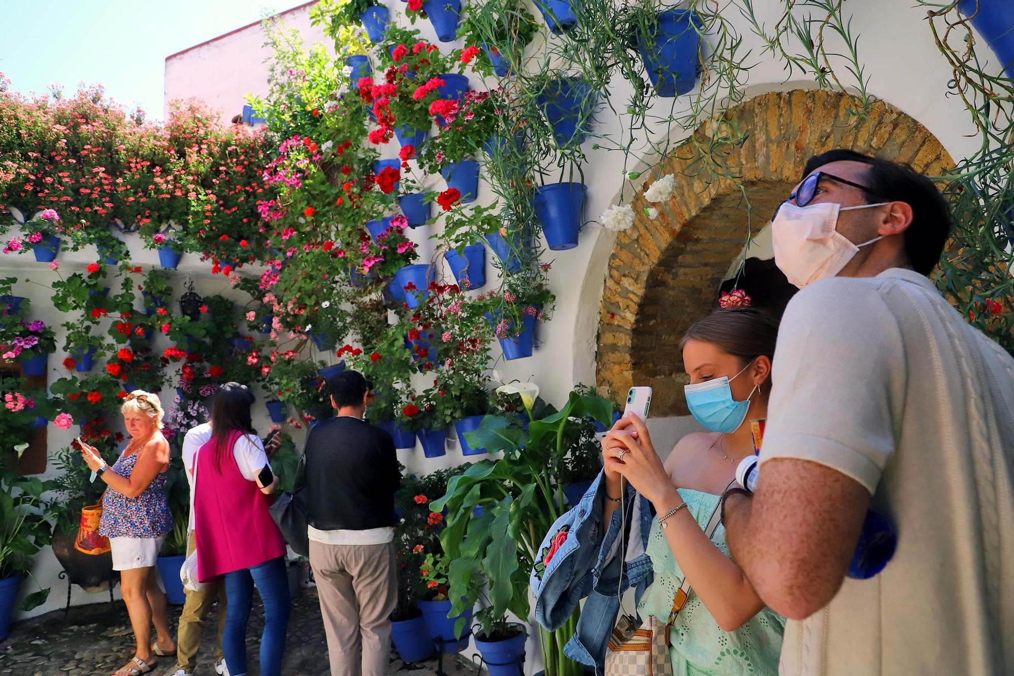 Largas colas en el primer sábado de patios