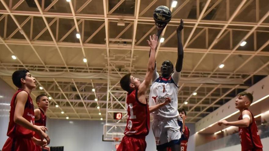 Paul Ater Maker Bol en un dels partits de la Minicopa Endesa